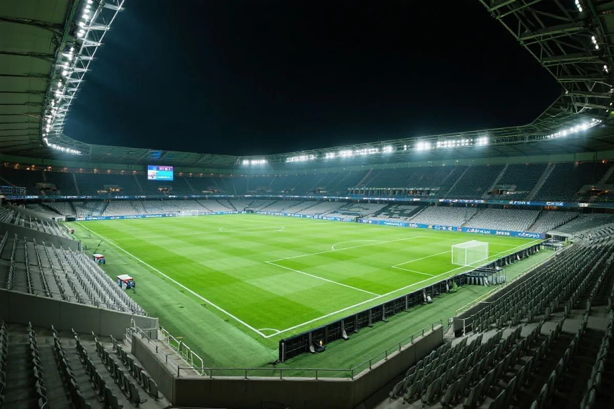 体育现场氛围图